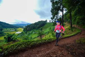 BIB: 
                            <button type="button" onclick="openModal(13360733)" class="btn btn-primary btn-sm float-right btn-popup" data-toggle="modal" data-target=".modal-high-quality">
                        <i class="fas fa-shopping-cart"></i> Add to Cart
                    </button>
                                            <button type="button" onclick="isThisMe(13360733, true)" class="btn btn-success btn-sm float-right btn-popup btn-isme hidden" data-toggle="tooltip" data-placement="bottom" title="นี่คือรูปของคุณใช่ไหม คลิกที่นี่เพื่อเอาเข้าอัลบั้ม">
                        <i class="fas fa-plus"></i> Add to album
                    </button>
                    <button type="button" onclick="isThisMe(13360733, false)" class="btn btn-warning btn-sm float-right btn-popup btn-isnotme hidden">
                        <i class="fas fa-ban"></i> Remove from album
                    </button>