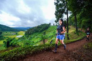 BIB: 
                            <button type="button" onclick="openModal(13362032)" class="btn btn-primary btn-sm float-right btn-popup" data-toggle="modal" data-target=".modal-high-quality">
                        <i class="fas fa-shopping-cart"></i> Add to Cart
                    </button>
                                            <button type="button" onclick="isThisMe(13362032, true)" class="btn btn-success btn-sm float-right btn-popup btn-isme hidden" data-toggle="tooltip" data-placement="bottom" title="นี่คือรูปของคุณใช่ไหม คลิกที่นี่เพื่อเอาเข้าอัลบั้ม">
                        <i class="fas fa-plus"></i> Add to album
                    </button>
                    <button type="button" onclick="isThisMe(13362032, false)" class="btn btn-warning btn-sm float-right btn-popup btn-isnotme hidden">
                        <i class="fas fa-ban"></i> Remove from album
                    </button>