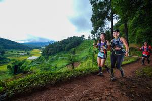 BIB: 
                            <button type="button" onclick="openModal(13360760)" class="btn btn-primary btn-sm float-right btn-popup" data-toggle="modal" data-target=".modal-high-quality">
                        <i class="fas fa-shopping-cart"></i> Add to Cart
                    </button>
                                            <button type="button" onclick="isThisMe(13360760, true)" class="btn btn-success btn-sm float-right btn-popup btn-isme hidden" data-toggle="tooltip" data-placement="bottom" title="นี่คือรูปของคุณใช่ไหม คลิกที่นี่เพื่อเอาเข้าอัลบั้ม">
                        <i class="fas fa-plus"></i> Add to album
                    </button>
                    <button type="button" onclick="isThisMe(13360760, false)" class="btn btn-warning btn-sm float-right btn-popup btn-isnotme hidden">
                        <i class="fas fa-ban"></i> Remove from album
                    </button>