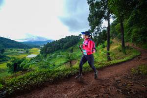 BIB: 
                            <button type="button" onclick="openModal(13360734)" class="btn btn-primary btn-sm float-right btn-popup" data-toggle="modal" data-target=".modal-high-quality">
                        <i class="fas fa-shopping-cart"></i> Add to Cart
                    </button>
                                            <button type="button" onclick="isThisMe(13360734, true)" class="btn btn-success btn-sm float-right btn-popup btn-isme hidden" data-toggle="tooltip" data-placement="bottom" title="นี่คือรูปของคุณใช่ไหม คลิกที่นี่เพื่อเอาเข้าอัลบั้ม">
                        <i class="fas fa-plus"></i> Add to album
                    </button>
                    <button type="button" onclick="isThisMe(13360734, false)" class="btn btn-warning btn-sm float-right btn-popup btn-isnotme hidden">
                        <i class="fas fa-ban"></i> Remove from album
                    </button>