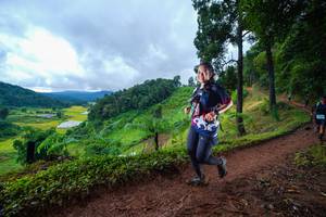 BIB: 
                            <button type="button" onclick="openModal(13362103)" class="btn btn-primary btn-sm float-right btn-popup" data-toggle="modal" data-target=".modal-high-quality">
                        <i class="fas fa-shopping-cart"></i> Add to Cart
                    </button>
                                            <button type="button" onclick="isThisMe(13362103, true)" class="btn btn-success btn-sm float-right btn-popup btn-isme hidden" data-toggle="tooltip" data-placement="bottom" title="นี่คือรูปของคุณใช่ไหม คลิกที่นี่เพื่อเอาเข้าอัลบั้ม">
                        <i class="fas fa-plus"></i> Add to album
                    </button>
                    <button type="button" onclick="isThisMe(13362103, false)" class="btn btn-warning btn-sm float-right btn-popup btn-isnotme hidden">
                        <i class="fas fa-ban"></i> Remove from album
                    </button>