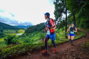 BIB: 
                            <button type="button" onclick="openModal(13364800)" class="btn btn-primary btn-sm float-right btn-popup" data-toggle="modal" data-target=".modal-high-quality">
                        <i class="fas fa-shopping-cart"></i> Add to Cart
                    </button>
                                            <button type="button" onclick="isThisMe(13364800, true)" class="btn btn-success btn-sm float-right btn-popup btn-isme hidden" data-toggle="tooltip" data-placement="bottom" title="นี่คือรูปของคุณใช่ไหม คลิกที่นี่เพื่อเอาเข้าอัลบั้ม">
                        <i class="fas fa-plus"></i> Add to album
                    </button>
                    <button type="button" onclick="isThisMe(13364800, false)" class="btn btn-warning btn-sm float-right btn-popup btn-isnotme hidden">
                        <i class="fas fa-ban"></i> Remove from album
                    </button>