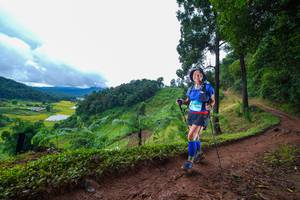 BIB: 
                            <button type="button" onclick="openModal(13364853)" class="btn btn-primary btn-sm float-right btn-popup" data-toggle="modal" data-target=".modal-high-quality">
                        <i class="fas fa-shopping-cart"></i> Add to Cart
                    </button>
                                            <button type="button" onclick="isThisMe(13364853, true)" class="btn btn-success btn-sm float-right btn-popup btn-isme hidden" data-toggle="tooltip" data-placement="bottom" title="นี่คือรูปของคุณใช่ไหม คลิกที่นี่เพื่อเอาเข้าอัลบั้ม">
                        <i class="fas fa-plus"></i> Add to album
                    </button>
                    <button type="button" onclick="isThisMe(13364853, false)" class="btn btn-warning btn-sm float-right btn-popup btn-isnotme hidden">
                        <i class="fas fa-ban"></i> Remove from album
                    </button>