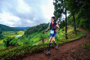 BIB: 
                            <button type="button" onclick="openModal(13362046)" class="btn btn-primary btn-sm float-right btn-popup" data-toggle="modal" data-target=".modal-high-quality">
                        <i class="fas fa-shopping-cart"></i> Add to Cart
                    </button>
                                            <button type="button" onclick="isThisMe(13362046, true)" class="btn btn-success btn-sm float-right btn-popup btn-isme hidden" data-toggle="tooltip" data-placement="bottom" title="นี่คือรูปของคุณใช่ไหม คลิกที่นี่เพื่อเอาเข้าอัลบั้ม">
                        <i class="fas fa-plus"></i> Add to album
                    </button>
                    <button type="button" onclick="isThisMe(13362046, false)" class="btn btn-warning btn-sm float-right btn-popup btn-isnotme hidden">
                        <i class="fas fa-ban"></i> Remove from album
                    </button>