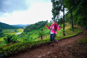 BIB: 
                            <button type="button" onclick="openModal(13360599)" class="btn btn-primary btn-sm float-right btn-popup" data-toggle="modal" data-target=".modal-high-quality">
                        <i class="fas fa-shopping-cart"></i> Add to Cart
                    </button>
                                            <button type="button" onclick="isThisMe(13360599, true)" class="btn btn-success btn-sm float-right btn-popup btn-isme hidden" data-toggle="tooltip" data-placement="bottom" title="นี่คือรูปของคุณใช่ไหม คลิกที่นี่เพื่อเอาเข้าอัลบั้ม">
                        <i class="fas fa-plus"></i> Add to album
                    </button>
                    <button type="button" onclick="isThisMe(13360599, false)" class="btn btn-warning btn-sm float-right btn-popup btn-isnotme hidden">
                        <i class="fas fa-ban"></i> Remove from album
                    </button>