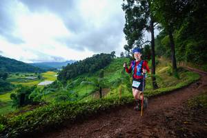 BIB: 
                            <button type="button" onclick="openModal(13360668)" class="btn btn-primary btn-sm float-right btn-popup" data-toggle="modal" data-target=".modal-high-quality">
                        <i class="fas fa-shopping-cart"></i> Add to Cart
                    </button>
                                            <button type="button" onclick="isThisMe(13360668, true)" class="btn btn-success btn-sm float-right btn-popup btn-isme hidden" data-toggle="tooltip" data-placement="bottom" title="นี่คือรูปของคุณใช่ไหม คลิกที่นี่เพื่อเอาเข้าอัลบั้ม">
                        <i class="fas fa-plus"></i> Add to album
                    </button>
                    <button type="button" onclick="isThisMe(13360668, false)" class="btn btn-warning btn-sm float-right btn-popup btn-isnotme hidden">
                        <i class="fas fa-ban"></i> Remove from album
                    </button>