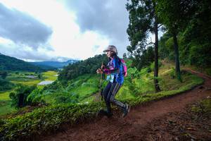 BIB: 
                            <button type="button" onclick="openModal(13364656)" class="btn btn-primary btn-sm float-right btn-popup" data-toggle="modal" data-target=".modal-high-quality">
                        <i class="fas fa-shopping-cart"></i> Add to Cart
                    </button>
                                            <button type="button" onclick="isThisMe(13364656, true)" class="btn btn-success btn-sm float-right btn-popup btn-isme hidden" data-toggle="tooltip" data-placement="bottom" title="นี่คือรูปของคุณใช่ไหม คลิกที่นี่เพื่อเอาเข้าอัลบั้ม">
                        <i class="fas fa-plus"></i> Add to album
                    </button>
                    <button type="button" onclick="isThisMe(13364656, false)" class="btn btn-warning btn-sm float-right btn-popup btn-isnotme hidden">
                        <i class="fas fa-ban"></i> Remove from album
                    </button>