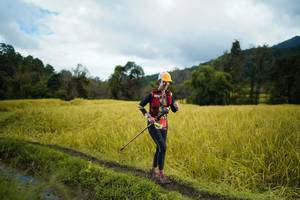 BIB: 
                            <button type="button" onclick="openModal(13388648)" class="btn btn-primary btn-sm float-right btn-popup" data-toggle="modal" data-target=".modal-high-quality">
                        <i class="fas fa-shopping-cart"></i> Add to Cart
                    </button>
                                            <button type="button" onclick="isThisMe(13388648, true)" class="btn btn-success btn-sm float-right btn-popup btn-isme hidden" data-toggle="tooltip" data-placement="bottom" title="นี่คือรูปของคุณใช่ไหม คลิกที่นี่เพื่อเอาเข้าอัลบั้ม">
                        <i class="fas fa-plus"></i> Add to album
                    </button>
                    <button type="button" onclick="isThisMe(13388648, false)" class="btn btn-warning btn-sm float-right btn-popup btn-isnotme hidden">
                        <i class="fas fa-ban"></i> Remove from album
                    </button>