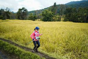 BIB: 
                            <button type="button" onclick="openModal(13388261)" class="btn btn-primary btn-sm float-right btn-popup" data-toggle="modal" data-target=".modal-high-quality">
                        <i class="fas fa-shopping-cart"></i> Add to Cart
                    </button>
                                            <button type="button" onclick="isThisMe(13388261, true)" class="btn btn-success btn-sm float-right btn-popup btn-isme hidden" data-toggle="tooltip" data-placement="bottom" title="นี่คือรูปของคุณใช่ไหม คลิกที่นี่เพื่อเอาเข้าอัลบั้ม">
                        <i class="fas fa-plus"></i> Add to album
                    </button>
                    <button type="button" onclick="isThisMe(13388261, false)" class="btn btn-warning btn-sm float-right btn-popup btn-isnotme hidden">
                        <i class="fas fa-ban"></i> Remove from album
                    </button>