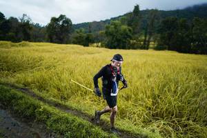 BIB: 
                            <button type="button" onclick="openModal(13387253)" class="btn btn-primary btn-sm float-right btn-popup" data-toggle="modal" data-target=".modal-high-quality">
                        <i class="fas fa-shopping-cart"></i> Add to Cart
                    </button>
                                            <button type="button" onclick="isThisMe(13387253, true)" class="btn btn-success btn-sm float-right btn-popup btn-isme hidden" data-toggle="tooltip" data-placement="bottom" title="นี่คือรูปของคุณใช่ไหม คลิกที่นี่เพื่อเอาเข้าอัลบั้ม">
                        <i class="fas fa-plus"></i> Add to album
                    </button>
                    <button type="button" onclick="isThisMe(13387253, false)" class="btn btn-warning btn-sm float-right btn-popup btn-isnotme hidden">
                        <i class="fas fa-ban"></i> Remove from album
                    </button>