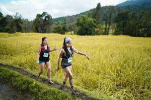 BIB: 
                            <button type="button" onclick="openModal(13388373)" class="btn btn-primary btn-sm float-right btn-popup" data-toggle="modal" data-target=".modal-high-quality">
                        <i class="fas fa-shopping-cart"></i> Add to Cart
                    </button>
                                            <button type="button" onclick="isThisMe(13388373, true)" class="btn btn-success btn-sm float-right btn-popup btn-isme hidden" data-toggle="tooltip" data-placement="bottom" title="นี่คือรูปของคุณใช่ไหม คลิกที่นี่เพื่อเอาเข้าอัลบั้ม">
                        <i class="fas fa-plus"></i> Add to album
                    </button>
                    <button type="button" onclick="isThisMe(13388373, false)" class="btn btn-warning btn-sm float-right btn-popup btn-isnotme hidden">
                        <i class="fas fa-ban"></i> Remove from album
                    </button>