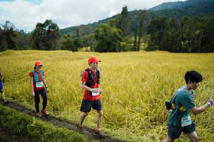 BIB: 1506
                            <button type="button" onclick="openModal(13388417)" class="btn btn-primary btn-sm float-right btn-popup" data-toggle="modal" data-target=".modal-high-quality">
                        <i class="fas fa-shopping-cart"></i> Add to Cart
                    </button>
                                            <button type="button" onclick="isThisMe(13388417, true)" class="btn btn-success btn-sm float-right btn-popup btn-isme hidden" data-toggle="tooltip" data-placement="bottom" title="นี่คือรูปของคุณใช่ไหม คลิกที่นี่เพื่อเอาเข้าอัลบั้ม">
                        <i class="fas fa-plus"></i> Add to album
                    </button>
                    <button type="button" onclick="isThisMe(13388417, false)" class="btn btn-warning btn-sm float-right btn-popup btn-isnotme hidden">
                        <i class="fas fa-ban"></i> Remove from album
                    </button>