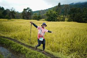 BIB: 
                            <button type="button" onclick="openModal(13387999)" class="btn btn-primary btn-sm float-right btn-popup" data-toggle="modal" data-target=".modal-high-quality">
                        <i class="fas fa-shopping-cart"></i> Add to Cart
                    </button>
                                            <button type="button" onclick="isThisMe(13387999, true)" class="btn btn-success btn-sm float-right btn-popup btn-isme hidden" data-toggle="tooltip" data-placement="bottom" title="นี่คือรูปของคุณใช่ไหม คลิกที่นี่เพื่อเอาเข้าอัลบั้ม">
                        <i class="fas fa-plus"></i> Add to album
                    </button>
                    <button type="button" onclick="isThisMe(13387999, false)" class="btn btn-warning btn-sm float-right btn-popup btn-isnotme hidden">
                        <i class="fas fa-ban"></i> Remove from album
                    </button>