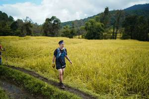 BIB: 
                            <button type="button" onclick="openModal(13388450)" class="btn btn-primary btn-sm float-right btn-popup" data-toggle="modal" data-target=".modal-high-quality">
                        <i class="fas fa-shopping-cart"></i> Add to Cart
                    </button>
                                            <button type="button" onclick="isThisMe(13388450, true)" class="btn btn-success btn-sm float-right btn-popup btn-isme hidden" data-toggle="tooltip" data-placement="bottom" title="นี่คือรูปของคุณใช่ไหม คลิกที่นี่เพื่อเอาเข้าอัลบั้ม">
                        <i class="fas fa-plus"></i> Add to album
                    </button>
                    <button type="button" onclick="isThisMe(13388450, false)" class="btn btn-warning btn-sm float-right btn-popup btn-isnotme hidden">
                        <i class="fas fa-ban"></i> Remove from album
                    </button>