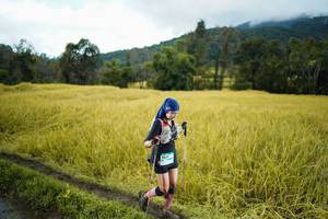 BIB: 
                            <button type="button" onclick="openModal(13387972)" class="btn btn-primary btn-sm float-right btn-popup" data-toggle="modal" data-target=".modal-high-quality">
                        <i class="fas fa-shopping-cart"></i> Add to Cart
                    </button>
                                            <button type="button" onclick="isThisMe(13387972, true)" class="btn btn-success btn-sm float-right btn-popup btn-isme hidden" data-toggle="tooltip" data-placement="bottom" title="นี่คือรูปของคุณใช่ไหม คลิกที่นี่เพื่อเอาเข้าอัลบั้ม">
                        <i class="fas fa-plus"></i> Add to album
                    </button>
                    <button type="button" onclick="isThisMe(13387972, false)" class="btn btn-warning btn-sm float-right btn-popup btn-isnotme hidden">
                        <i class="fas fa-ban"></i> Remove from album
                    </button>