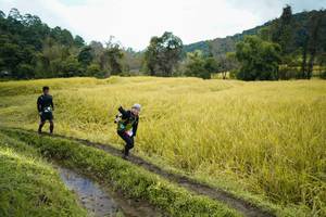 BIB: 
                            <button type="button" onclick="openModal(13388044)" class="btn btn-primary btn-sm float-right btn-popup" data-toggle="modal" data-target=".modal-high-quality">
                        <i class="fas fa-shopping-cart"></i> Add to Cart
                    </button>
                                            <button type="button" onclick="isThisMe(13388044, true)" class="btn btn-success btn-sm float-right btn-popup btn-isme hidden" data-toggle="tooltip" data-placement="bottom" title="นี่คือรูปของคุณใช่ไหม คลิกที่นี่เพื่อเอาเข้าอัลบั้ม">
                        <i class="fas fa-plus"></i> Add to album
                    </button>
                    <button type="button" onclick="isThisMe(13388044, false)" class="btn btn-warning btn-sm float-right btn-popup btn-isnotme hidden">
                        <i class="fas fa-ban"></i> Remove from album
                    </button>