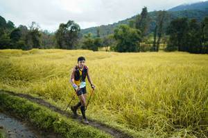 BIB: 
                            <button type="button" onclick="openModal(13387531)" class="btn btn-primary btn-sm float-right btn-popup" data-toggle="modal" data-target=".modal-high-quality">
                        <i class="fas fa-shopping-cart"></i> Add to Cart
                    </button>
                                            <button type="button" onclick="isThisMe(13387531, true)" class="btn btn-success btn-sm float-right btn-popup btn-isme hidden" data-toggle="tooltip" data-placement="bottom" title="นี่คือรูปของคุณใช่ไหม คลิกที่นี่เพื่อเอาเข้าอัลบั้ม">
                        <i class="fas fa-plus"></i> Add to album
                    </button>
                    <button type="button" onclick="isThisMe(13387531, false)" class="btn btn-warning btn-sm float-right btn-popup btn-isnotme hidden">
                        <i class="fas fa-ban"></i> Remove from album
                    </button>