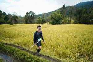 BIB: 
                            <button type="button" onclick="openModal(13388054)" class="btn btn-primary btn-sm float-right btn-popup" data-toggle="modal" data-target=".modal-high-quality">
                        <i class="fas fa-shopping-cart"></i> Add to Cart
                    </button>
                                            <button type="button" onclick="isThisMe(13388054, true)" class="btn btn-success btn-sm float-right btn-popup btn-isme hidden" data-toggle="tooltip" data-placement="bottom" title="นี่คือรูปของคุณใช่ไหม คลิกที่นี่เพื่อเอาเข้าอัลบั้ม">
                        <i class="fas fa-plus"></i> Add to album
                    </button>
                    <button type="button" onclick="isThisMe(13388054, false)" class="btn btn-warning btn-sm float-right btn-popup btn-isnotme hidden">
                        <i class="fas fa-ban"></i> Remove from album
                    </button>