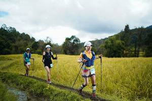 BIB: 
                            <button type="button" onclick="openModal(13388773)" class="btn btn-primary btn-sm float-right btn-popup" data-toggle="modal" data-target=".modal-high-quality">
                        <i class="fas fa-shopping-cart"></i> Add to Cart
                    </button>
                                            <button type="button" onclick="isThisMe(13388773, true)" class="btn btn-success btn-sm float-right btn-popup btn-isme hidden" data-toggle="tooltip" data-placement="bottom" title="นี่คือรูปของคุณใช่ไหม คลิกที่นี่เพื่อเอาเข้าอัลบั้ม">
                        <i class="fas fa-plus"></i> Add to album
                    </button>
                    <button type="button" onclick="isThisMe(13388773, false)" class="btn btn-warning btn-sm float-right btn-popup btn-isnotme hidden">
                        <i class="fas fa-ban"></i> Remove from album
                    </button>