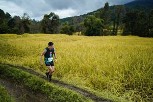 BIB: 
                            <button type="button" onclick="openModal(13387581)" class="btn btn-primary btn-sm float-right btn-popup" data-toggle="modal" data-target=".modal-high-quality">
                        <i class="fas fa-shopping-cart"></i> Add to Cart
                    </button>
                                            <button type="button" onclick="isThisMe(13387581, true)" class="btn btn-success btn-sm float-right btn-popup btn-isme hidden" data-toggle="tooltip" data-placement="bottom" title="นี่คือรูปของคุณใช่ไหม คลิกที่นี่เพื่อเอาเข้าอัลบั้ม">
                        <i class="fas fa-plus"></i> Add to album
                    </button>
                    <button type="button" onclick="isThisMe(13387581, false)" class="btn btn-warning btn-sm float-right btn-popup btn-isnotme hidden">
                        <i class="fas fa-ban"></i> Remove from album
                    </button>