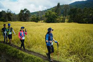 BIB: 
                            <button type="button" onclick="openModal(13388473)" class="btn btn-primary btn-sm float-right btn-popup" data-toggle="modal" data-target=".modal-high-quality">
                        <i class="fas fa-shopping-cart"></i> Add to Cart
                    </button>
                                            <button type="button" onclick="isThisMe(13388473, true)" class="btn btn-success btn-sm float-right btn-popup btn-isme hidden" data-toggle="tooltip" data-placement="bottom" title="นี่คือรูปของคุณใช่ไหม คลิกที่นี่เพื่อเอาเข้าอัลบั้ม">
                        <i class="fas fa-plus"></i> Add to album
                    </button>
                    <button type="button" onclick="isThisMe(13388473, false)" class="btn btn-warning btn-sm float-right btn-popup btn-isnotme hidden">
                        <i class="fas fa-ban"></i> Remove from album
                    </button>