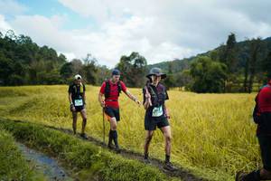 BIB: 
                            <button type="button" onclick="openModal(13388538)" class="btn btn-primary btn-sm float-right btn-popup" data-toggle="modal" data-target=".modal-high-quality">
                        <i class="fas fa-shopping-cart"></i> Add to Cart
                    </button>
                                            <button type="button" onclick="isThisMe(13388538, true)" class="btn btn-success btn-sm float-right btn-popup btn-isme hidden" data-toggle="tooltip" data-placement="bottom" title="นี่คือรูปของคุณใช่ไหม คลิกที่นี่เพื่อเอาเข้าอัลบั้ม">
                        <i class="fas fa-plus"></i> Add to album
                    </button>
                    <button type="button" onclick="isThisMe(13388538, false)" class="btn btn-warning btn-sm float-right btn-popup btn-isnotme hidden">
                        <i class="fas fa-ban"></i> Remove from album
                    </button>