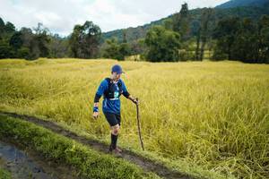 BIB: 
                            <button type="button" onclick="openModal(13388219)" class="btn btn-primary btn-sm float-right btn-popup" data-toggle="modal" data-target=".modal-high-quality">
                        <i class="fas fa-shopping-cart"></i> Add to Cart
                    </button>
                                            <button type="button" onclick="isThisMe(13388219, true)" class="btn btn-success btn-sm float-right btn-popup btn-isme hidden" data-toggle="tooltip" data-placement="bottom" title="นี่คือรูปของคุณใช่ไหม คลิกที่นี่เพื่อเอาเข้าอัลบั้ม">
                        <i class="fas fa-plus"></i> Add to album
                    </button>
                    <button type="button" onclick="isThisMe(13388219, false)" class="btn btn-warning btn-sm float-right btn-popup btn-isnotme hidden">
                        <i class="fas fa-ban"></i> Remove from album
                    </button>