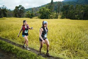 BIB: 
                            <button type="button" onclick="openModal(13388372)" class="btn btn-primary btn-sm float-right btn-popup" data-toggle="modal" data-target=".modal-high-quality">
                        <i class="fas fa-shopping-cart"></i> Add to Cart
                    </button>
                                            <button type="button" onclick="isThisMe(13388372, true)" class="btn btn-success btn-sm float-right btn-popup btn-isme hidden" data-toggle="tooltip" data-placement="bottom" title="นี่คือรูปของคุณใช่ไหม คลิกที่นี่เพื่อเอาเข้าอัลบั้ม">
                        <i class="fas fa-plus"></i> Add to album
                    </button>
                    <button type="button" onclick="isThisMe(13388372, false)" class="btn btn-warning btn-sm float-right btn-popup btn-isnotme hidden">
                        <i class="fas fa-ban"></i> Remove from album
                    </button>