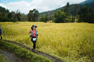 BIB: 
                            <button type="button" onclick="openModal(13388404)" class="btn btn-primary btn-sm float-right btn-popup" data-toggle="modal" data-target=".modal-high-quality">
                        <i class="fas fa-shopping-cart"></i> Add to Cart
                    </button>
                                            <button type="button" onclick="isThisMe(13388404, true)" class="btn btn-success btn-sm float-right btn-popup btn-isme hidden" data-toggle="tooltip" data-placement="bottom" title="นี่คือรูปของคุณใช่ไหม คลิกที่นี่เพื่อเอาเข้าอัลบั้ม">
                        <i class="fas fa-plus"></i> Add to album
                    </button>
                    <button type="button" onclick="isThisMe(13388404, false)" class="btn btn-warning btn-sm float-right btn-popup btn-isnotme hidden">
                        <i class="fas fa-ban"></i> Remove from album
                    </button>