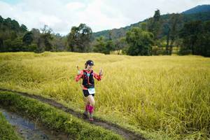 BIB: 
                            <button type="button" onclick="openModal(13388232)" class="btn btn-primary btn-sm float-right btn-popup" data-toggle="modal" data-target=".modal-high-quality">
                        <i class="fas fa-shopping-cart"></i> Add to Cart
                    </button>
                                            <button type="button" onclick="isThisMe(13388232, true)" class="btn btn-success btn-sm float-right btn-popup btn-isme hidden" data-toggle="tooltip" data-placement="bottom" title="นี่คือรูปของคุณใช่ไหม คลิกที่นี่เพื่อเอาเข้าอัลบั้ม">
                        <i class="fas fa-plus"></i> Add to album
                    </button>
                    <button type="button" onclick="isThisMe(13388232, false)" class="btn btn-warning btn-sm float-right btn-popup btn-isnotme hidden">
                        <i class="fas fa-ban"></i> Remove from album
                    </button>