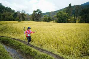 BIB: 
                            <button type="button" onclick="openModal(13388259)" class="btn btn-primary btn-sm float-right btn-popup" data-toggle="modal" data-target=".modal-high-quality">
                        <i class="fas fa-shopping-cart"></i> Add to Cart
                    </button>
                                            <button type="button" onclick="isThisMe(13388259, true)" class="btn btn-success btn-sm float-right btn-popup btn-isme hidden" data-toggle="tooltip" data-placement="bottom" title="นี่คือรูปของคุณใช่ไหม คลิกที่นี่เพื่อเอาเข้าอัลบั้ม">
                        <i class="fas fa-plus"></i> Add to album
                    </button>
                    <button type="button" onclick="isThisMe(13388259, false)" class="btn btn-warning btn-sm float-right btn-popup btn-isnotme hidden">
                        <i class="fas fa-ban"></i> Remove from album
                    </button>