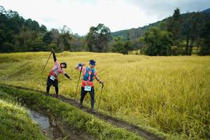 BIB: 
                            <button type="button" onclick="openModal(13387986)" class="btn btn-primary btn-sm float-right btn-popup" data-toggle="modal" data-target=".modal-high-quality">
                        <i class="fas fa-shopping-cart"></i> Add to Cart
                    </button>
                                            <button type="button" onclick="isThisMe(13387986, true)" class="btn btn-success btn-sm float-right btn-popup btn-isme hidden" data-toggle="tooltip" data-placement="bottom" title="นี่คือรูปของคุณใช่ไหม คลิกที่นี่เพื่อเอาเข้าอัลบั้ม">
                        <i class="fas fa-plus"></i> Add to album
                    </button>
                    <button type="button" onclick="isThisMe(13387986, false)" class="btn btn-warning btn-sm float-right btn-popup btn-isnotme hidden">
                        <i class="fas fa-ban"></i> Remove from album
                    </button>