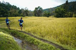 BIB: 
                            <button type="button" onclick="openModal(13388011)" class="btn btn-primary btn-sm float-right btn-popup" data-toggle="modal" data-target=".modal-high-quality">
                        <i class="fas fa-shopping-cart"></i> Add to Cart
                    </button>
                                            <button type="button" onclick="isThisMe(13388011, true)" class="btn btn-success btn-sm float-right btn-popup btn-isme hidden" data-toggle="tooltip" data-placement="bottom" title="นี่คือรูปของคุณใช่ไหม คลิกที่นี่เพื่อเอาเข้าอัลบั้ม">
                        <i class="fas fa-plus"></i> Add to album
                    </button>
                    <button type="button" onclick="isThisMe(13388011, false)" class="btn btn-warning btn-sm float-right btn-popup btn-isnotme hidden">
                        <i class="fas fa-ban"></i> Remove from album
                    </button>