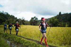 BIB: 
                            <button type="button" onclick="openModal(13388817)" class="btn btn-primary btn-sm float-right btn-popup" data-toggle="modal" data-target=".modal-high-quality">
                        <i class="fas fa-shopping-cart"></i> Add to Cart
                    </button>
                                            <button type="button" onclick="isThisMe(13388817, true)" class="btn btn-success btn-sm float-right btn-popup btn-isme hidden" data-toggle="tooltip" data-placement="bottom" title="นี่คือรูปของคุณใช่ไหม คลิกที่นี่เพื่อเอาเข้าอัลบั้ม">
                        <i class="fas fa-plus"></i> Add to album
                    </button>
                    <button type="button" onclick="isThisMe(13388817, false)" class="btn btn-warning btn-sm float-right btn-popup btn-isnotme hidden">
                        <i class="fas fa-ban"></i> Remove from album
                    </button>