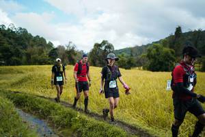 BIB: 
                            <button type="button" onclick="openModal(13388536)" class="btn btn-primary btn-sm float-right btn-popup" data-toggle="modal" data-target=".modal-high-quality">
                        <i class="fas fa-shopping-cart"></i> Add to Cart
                    </button>
                                            <button type="button" onclick="isThisMe(13388536, true)" class="btn btn-success btn-sm float-right btn-popup btn-isme hidden" data-toggle="tooltip" data-placement="bottom" title="นี่คือรูปของคุณใช่ไหม คลิกที่นี่เพื่อเอาเข้าอัลบั้ม">
                        <i class="fas fa-plus"></i> Add to album
                    </button>
                    <button type="button" onclick="isThisMe(13388536, false)" class="btn btn-warning btn-sm float-right btn-popup btn-isnotme hidden">
                        <i class="fas fa-ban"></i> Remove from album
                    </button>