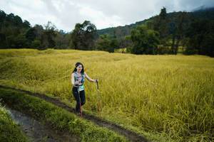 BIB: 
                            <button type="button" onclick="openModal(13387798)" class="btn btn-primary btn-sm float-right btn-popup" data-toggle="modal" data-target=".modal-high-quality">
                        <i class="fas fa-shopping-cart"></i> Add to Cart
                    </button>
                                            <button type="button" onclick="isThisMe(13387798, true)" class="btn btn-success btn-sm float-right btn-popup btn-isme hidden" data-toggle="tooltip" data-placement="bottom" title="นี่คือรูปของคุณใช่ไหม คลิกที่นี่เพื่อเอาเข้าอัลบั้ม">
                        <i class="fas fa-plus"></i> Add to album
                    </button>
                    <button type="button" onclick="isThisMe(13387798, false)" class="btn btn-warning btn-sm float-right btn-popup btn-isnotme hidden">
                        <i class="fas fa-ban"></i> Remove from album
                    </button>