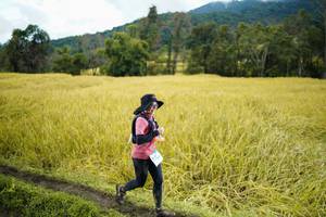 BIB: 
                            <button type="button" onclick="openModal(13388105)" class="btn btn-primary btn-sm float-right btn-popup" data-toggle="modal" data-target=".modal-high-quality">
                        <i class="fas fa-shopping-cart"></i> Add to Cart
                    </button>
                                            <button type="button" onclick="isThisMe(13388105, true)" class="btn btn-success btn-sm float-right btn-popup btn-isme hidden" data-toggle="tooltip" data-placement="bottom" title="นี่คือรูปของคุณใช่ไหม คลิกที่นี่เพื่อเอาเข้าอัลบั้ม">
                        <i class="fas fa-plus"></i> Add to album
                    </button>
                    <button type="button" onclick="isThisMe(13388105, false)" class="btn btn-warning btn-sm float-right btn-popup btn-isnotme hidden">
                        <i class="fas fa-ban"></i> Remove from album
                    </button>