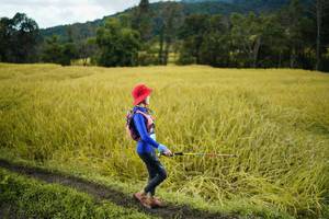 BIB: 
                            <button type="button" onclick="openModal(13387925)" class="btn btn-primary btn-sm float-right btn-popup" data-toggle="modal" data-target=".modal-high-quality">
                        <i class="fas fa-shopping-cart"></i> Add to Cart
                    </button>
                                            <button type="button" onclick="isThisMe(13387925, true)" class="btn btn-success btn-sm float-right btn-popup btn-isme hidden" data-toggle="tooltip" data-placement="bottom" title="นี่คือรูปของคุณใช่ไหม คลิกที่นี่เพื่อเอาเข้าอัลบั้ม">
                        <i class="fas fa-plus"></i> Add to album
                    </button>
                    <button type="button" onclick="isThisMe(13387925, false)" class="btn btn-warning btn-sm float-right btn-popup btn-isnotme hidden">
                        <i class="fas fa-ban"></i> Remove from album
                    </button>