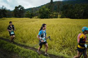 BIB: 
                            <button type="button" onclick="openModal(13387784)" class="btn btn-primary btn-sm float-right btn-popup" data-toggle="modal" data-target=".modal-high-quality">
                        <i class="fas fa-shopping-cart"></i> Add to Cart
                    </button>
                                            <button type="button" onclick="isThisMe(13387784, true)" class="btn btn-success btn-sm float-right btn-popup btn-isme hidden" data-toggle="tooltip" data-placement="bottom" title="นี่คือรูปของคุณใช่ไหม คลิกที่นี่เพื่อเอาเข้าอัลบั้ม">
                        <i class="fas fa-plus"></i> Add to album
                    </button>
                    <button type="button" onclick="isThisMe(13387784, false)" class="btn btn-warning btn-sm float-right btn-popup btn-isnotme hidden">
                        <i class="fas fa-ban"></i> Remove from album
                    </button>