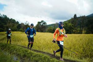 BIB: 
                            <button type="button" onclick="openModal(13388736)" class="btn btn-primary btn-sm float-right btn-popup" data-toggle="modal" data-target=".modal-high-quality">
                        <i class="fas fa-shopping-cart"></i> Add to Cart
                    </button>
                                            <button type="button" onclick="isThisMe(13388736, true)" class="btn btn-success btn-sm float-right btn-popup btn-isme hidden" data-toggle="tooltip" data-placement="bottom" title="นี่คือรูปของคุณใช่ไหม คลิกที่นี่เพื่อเอาเข้าอัลบั้ม">
                        <i class="fas fa-plus"></i> Add to album
                    </button>
                    <button type="button" onclick="isThisMe(13388736, false)" class="btn btn-warning btn-sm float-right btn-popup btn-isnotme hidden">
                        <i class="fas fa-ban"></i> Remove from album
                    </button>