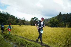 BIB: 
                            <button type="button" onclick="openModal(13388720)" class="btn btn-primary btn-sm float-right btn-popup" data-toggle="modal" data-target=".modal-high-quality">
                        <i class="fas fa-shopping-cart"></i> Add to Cart
                    </button>
                                            <button type="button" onclick="isThisMe(13388720, true)" class="btn btn-success btn-sm float-right btn-popup btn-isme hidden" data-toggle="tooltip" data-placement="bottom" title="นี่คือรูปของคุณใช่ไหม คลิกที่นี่เพื่อเอาเข้าอัลบั้ม">
                        <i class="fas fa-plus"></i> Add to album
                    </button>
                    <button type="button" onclick="isThisMe(13388720, false)" class="btn btn-warning btn-sm float-right btn-popup btn-isnotme hidden">
                        <i class="fas fa-ban"></i> Remove from album
                    </button>