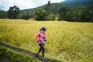 BIB: 
                            <button type="button" onclick="openModal(13388263)" class="btn btn-primary btn-sm float-right btn-popup" data-toggle="modal" data-target=".modal-high-quality">
                        <i class="fas fa-shopping-cart"></i> Add to Cart
                    </button>
                                            <button type="button" onclick="isThisMe(13388263, true)" class="btn btn-success btn-sm float-right btn-popup btn-isme hidden" data-toggle="tooltip" data-placement="bottom" title="นี่คือรูปของคุณใช่ไหม คลิกที่นี่เพื่อเอาเข้าอัลบั้ม">
                        <i class="fas fa-plus"></i> Add to album
                    </button>
                    <button type="button" onclick="isThisMe(13388263, false)" class="btn btn-warning btn-sm float-right btn-popup btn-isnotme hidden">
                        <i class="fas fa-ban"></i> Remove from album
                    </button>