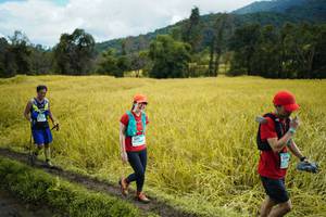 BIB: 
                            <button type="button" onclick="openModal(13388422)" class="btn btn-primary btn-sm float-right btn-popup" data-toggle="modal" data-target=".modal-high-quality">
                        <i class="fas fa-shopping-cart"></i> Add to Cart
                    </button>
                                            <button type="button" onclick="isThisMe(13388422, true)" class="btn btn-success btn-sm float-right btn-popup btn-isme hidden" data-toggle="tooltip" data-placement="bottom" title="นี่คือรูปของคุณใช่ไหม คลิกที่นี่เพื่อเอาเข้าอัลบั้ม">
                        <i class="fas fa-plus"></i> Add to album
                    </button>
                    <button type="button" onclick="isThisMe(13388422, false)" class="btn btn-warning btn-sm float-right btn-popup btn-isnotme hidden">
                        <i class="fas fa-ban"></i> Remove from album
                    </button>