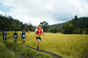 BIB: 
                            <button type="button" onclick="openModal(13388708)" class="btn btn-primary btn-sm float-right btn-popup" data-toggle="modal" data-target=".modal-high-quality">
                        <i class="fas fa-shopping-cart"></i> Add to Cart
                    </button>
                                            <button type="button" onclick="isThisMe(13388708, true)" class="btn btn-success btn-sm float-right btn-popup btn-isme hidden" data-toggle="tooltip" data-placement="bottom" title="นี่คือรูปของคุณใช่ไหม คลิกที่นี่เพื่อเอาเข้าอัลบั้ม">
                        <i class="fas fa-plus"></i> Add to album
                    </button>
                    <button type="button" onclick="isThisMe(13388708, false)" class="btn btn-warning btn-sm float-right btn-popup btn-isnotme hidden">
                        <i class="fas fa-ban"></i> Remove from album
                    </button>