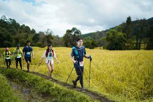 BIB: 
                            <button type="button" onclick="openModal(13388595)" class="btn btn-primary btn-sm float-right btn-popup" data-toggle="modal" data-target=".modal-high-quality">
                        <i class="fas fa-shopping-cart"></i> Add to Cart
                    </button>
                                            <button type="button" onclick="isThisMe(13388595, true)" class="btn btn-success btn-sm float-right btn-popup btn-isme hidden" data-toggle="tooltip" data-placement="bottom" title="นี่คือรูปของคุณใช่ไหม คลิกที่นี่เพื่อเอาเข้าอัลบั้ม">
                        <i class="fas fa-plus"></i> Add to album
                    </button>
                    <button type="button" onclick="isThisMe(13388595, false)" class="btn btn-warning btn-sm float-right btn-popup btn-isnotme hidden">
                        <i class="fas fa-ban"></i> Remove from album
                    </button>