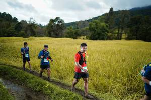 BIB: 
                            <button type="button" onclick="openModal(13387675)" class="btn btn-primary btn-sm float-right btn-popup" data-toggle="modal" data-target=".modal-high-quality">
                        <i class="fas fa-shopping-cart"></i> Add to Cart
                    </button>
                                            <button type="button" onclick="isThisMe(13387675, true)" class="btn btn-success btn-sm float-right btn-popup btn-isme hidden" data-toggle="tooltip" data-placement="bottom" title="นี่คือรูปของคุณใช่ไหม คลิกที่นี่เพื่อเอาเข้าอัลบั้ม">
                        <i class="fas fa-plus"></i> Add to album
                    </button>
                    <button type="button" onclick="isThisMe(13387675, false)" class="btn btn-warning btn-sm float-right btn-popup btn-isnotme hidden">
                        <i class="fas fa-ban"></i> Remove from album
                    </button>