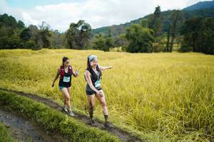 BIB: 
                            <button type="button" onclick="openModal(13388369)" class="btn btn-primary btn-sm float-right btn-popup" data-toggle="modal" data-target=".modal-high-quality">
                        <i class="fas fa-shopping-cart"></i> Add to Cart
                    </button>
                                            <button type="button" onclick="isThisMe(13388369, true)" class="btn btn-success btn-sm float-right btn-popup btn-isme hidden" data-toggle="tooltip" data-placement="bottom" title="นี่คือรูปของคุณใช่ไหม คลิกที่นี่เพื่อเอาเข้าอัลบั้ม">
                        <i class="fas fa-plus"></i> Add to album
                    </button>
                    <button type="button" onclick="isThisMe(13388369, false)" class="btn btn-warning btn-sm float-right btn-popup btn-isnotme hidden">
                        <i class="fas fa-ban"></i> Remove from album
                    </button>