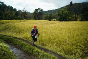 BIB: 
                            <button type="button" onclick="openModal(13387884)" class="btn btn-primary btn-sm float-right btn-popup" data-toggle="modal" data-target=".modal-high-quality">
                        <i class="fas fa-shopping-cart"></i> Add to Cart
                    </button>
                                            <button type="button" onclick="isThisMe(13387884, true)" class="btn btn-success btn-sm float-right btn-popup btn-isme hidden" data-toggle="tooltip" data-placement="bottom" title="นี่คือรูปของคุณใช่ไหม คลิกที่นี่เพื่อเอาเข้าอัลบั้ม">
                        <i class="fas fa-plus"></i> Add to album
                    </button>
                    <button type="button" onclick="isThisMe(13387884, false)" class="btn btn-warning btn-sm float-right btn-popup btn-isnotme hidden">
                        <i class="fas fa-ban"></i> Remove from album
                    </button>