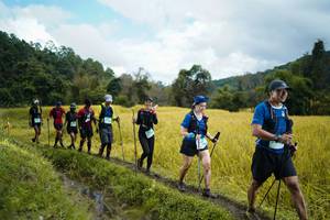 BIB: 
                            <button type="button" onclick="openModal(13388525)" class="btn btn-primary btn-sm float-right btn-popup" data-toggle="modal" data-target=".modal-high-quality">
                        <i class="fas fa-shopping-cart"></i> Add to Cart
                    </button>
                                            <button type="button" onclick="isThisMe(13388525, true)" class="btn btn-success btn-sm float-right btn-popup btn-isme hidden" data-toggle="tooltip" data-placement="bottom" title="นี่คือรูปของคุณใช่ไหม คลิกที่นี่เพื่อเอาเข้าอัลบั้ม">
                        <i class="fas fa-plus"></i> Add to album
                    </button>
                    <button type="button" onclick="isThisMe(13388525, false)" class="btn btn-warning btn-sm float-right btn-popup btn-isnotme hidden">
                        <i class="fas fa-ban"></i> Remove from album
                    </button>