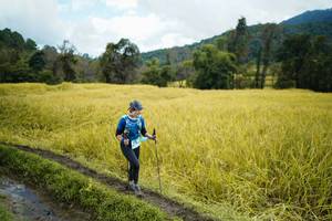 BIB: 
                            <button type="button" onclick="openModal(13388305)" class="btn btn-primary btn-sm float-right btn-popup" data-toggle="modal" data-target=".modal-high-quality">
                        <i class="fas fa-shopping-cart"></i> Add to Cart
                    </button>
                                            <button type="button" onclick="isThisMe(13388305, true)" class="btn btn-success btn-sm float-right btn-popup btn-isme hidden" data-toggle="tooltip" data-placement="bottom" title="นี่คือรูปของคุณใช่ไหม คลิกที่นี่เพื่อเอาเข้าอัลบั้ม">
                        <i class="fas fa-plus"></i> Add to album
                    </button>
                    <button type="button" onclick="isThisMe(13388305, false)" class="btn btn-warning btn-sm float-right btn-popup btn-isnotme hidden">
                        <i class="fas fa-ban"></i> Remove from album
                    </button>